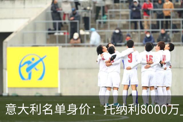 意大利名单身价：托纳利8000万 巴斯托尼6500万 仅10人超过3千万